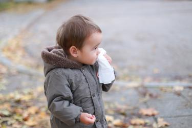 Воднисти, гъсти, зелени – в хода на заболяването сополите менят вида си 