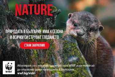 По случай Часа на Земята WWF стартира кампания за опазването на влажните зони у нас 